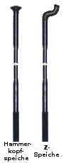 speiche